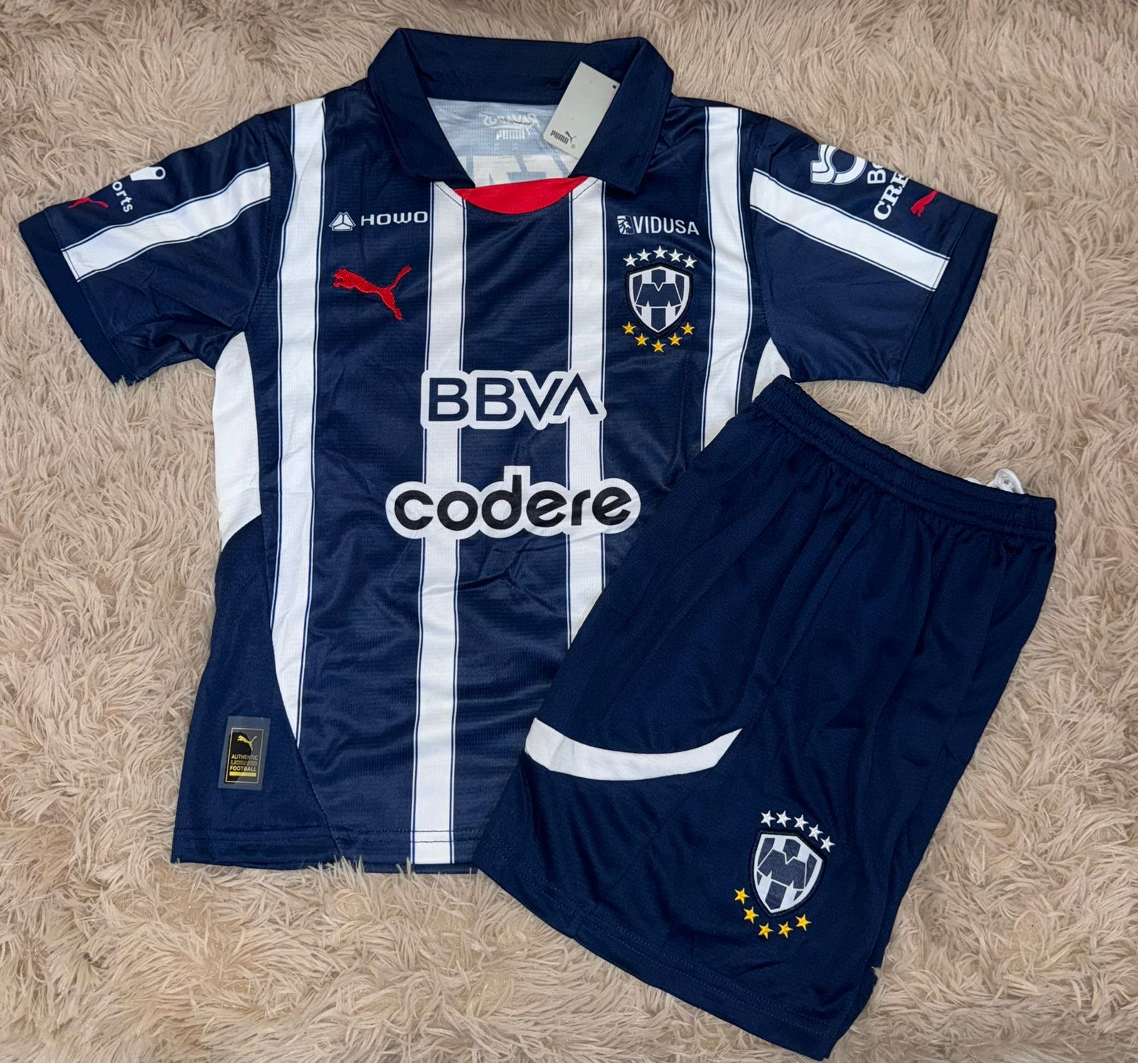 Jersey Rayados Local 24-25