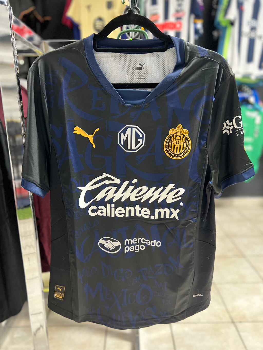 Jersey Chivas Alternativa 24-25