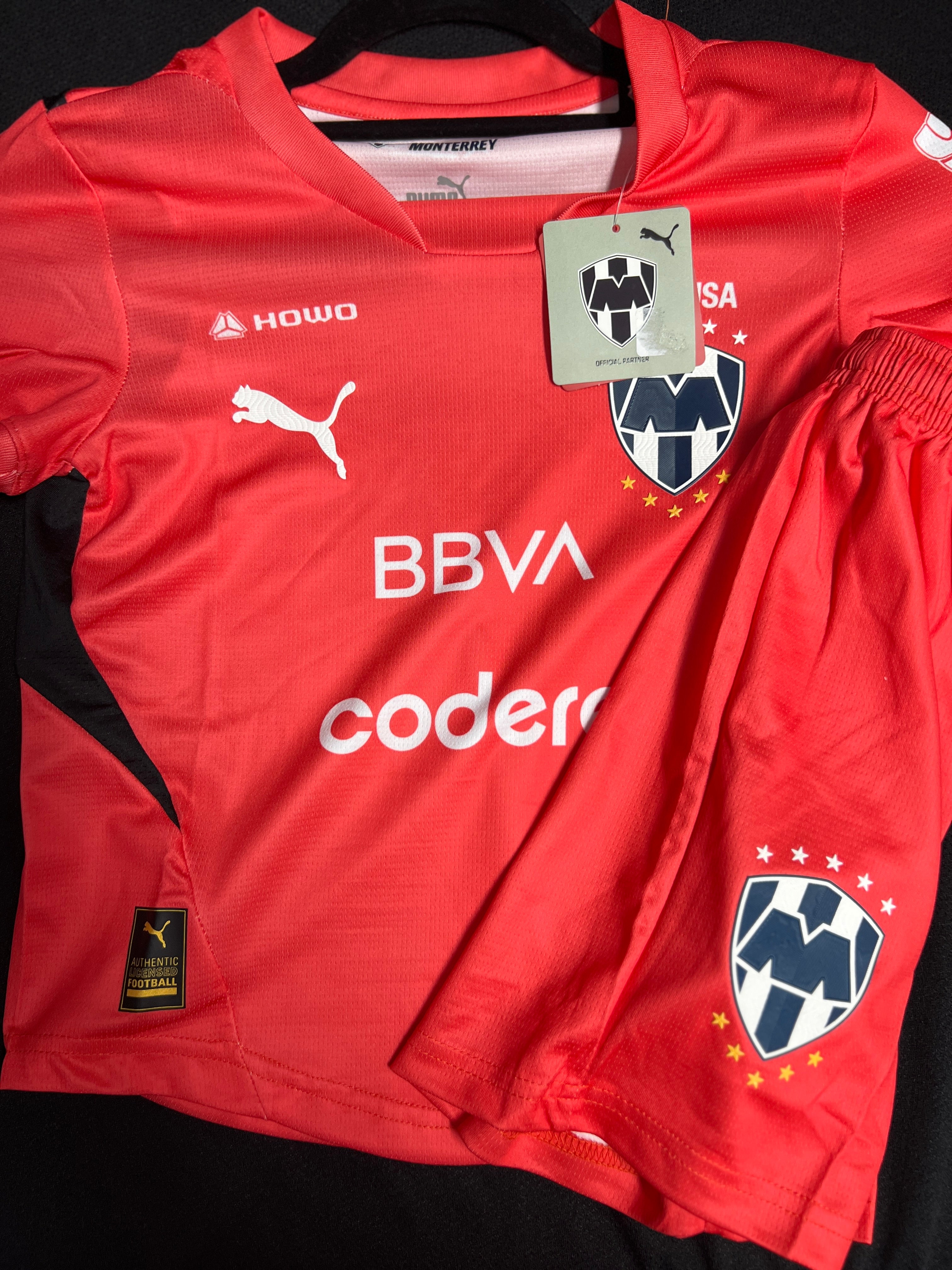 Jersey Rayados Portero Melon 24-25